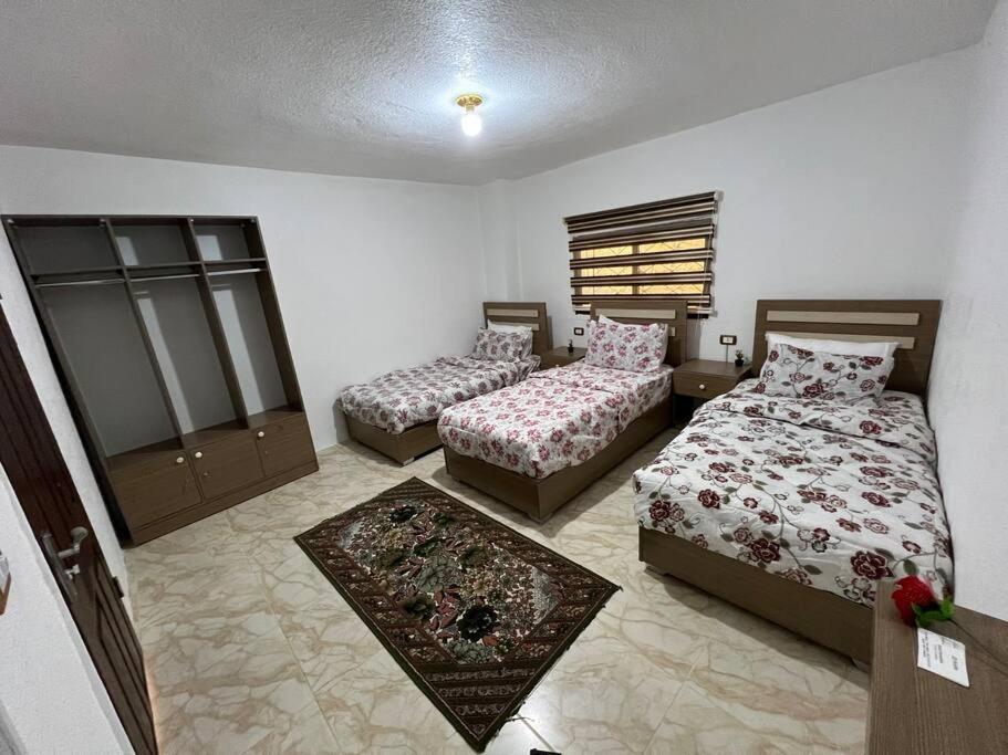 Z3 Apartment Wadi Musa Exterior photo