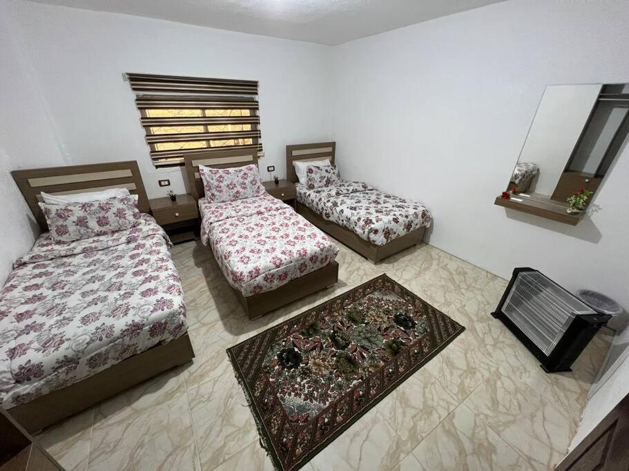 Z3 Apartment Wadi Musa Exterior photo