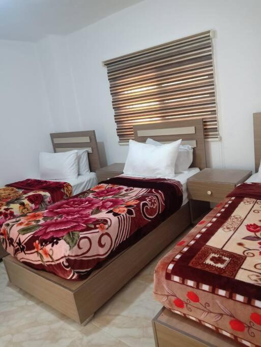 Z3 Apartment Wadi Musa Exterior photo