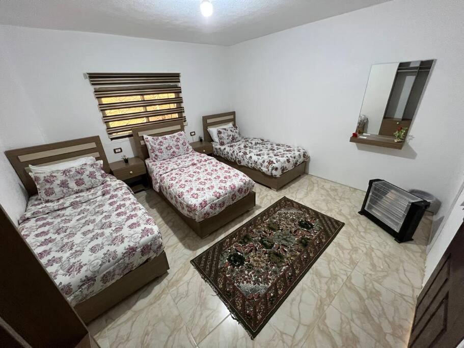 Z3 Apartment Wadi Musa Exterior photo